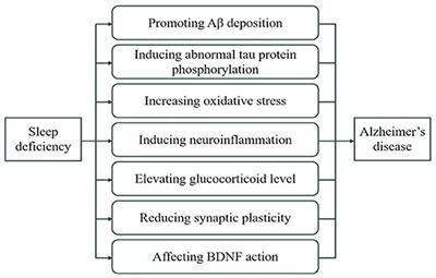 Sleep deficiency promotes Alzheimer's disease development and progression